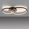Leuchten-Direkt ASMINA Ceiling Light LED black, 2-light sources