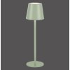 Leuchten-Direkt EURIA Table lamp LED green, 1-light source