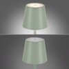 Leuchten-Direkt EURIA Table lamp LED green, 1-light source