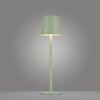 Leuchten-Direkt EURIA Table lamp LED green, 1-light source