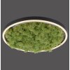 Leuchten-Direkt GREEN RITUS Ceiling Light LED black, 1-light source