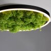 Leuchten-Direkt GREEN RITUS Ceiling Light LED black, 1-light source