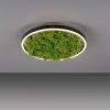 Leuchten-Direkt GREEN RITUS Ceiling Light LED black, 1-light source