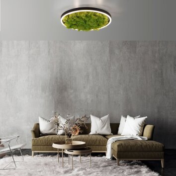 Leuchten-Direkt GREEN RITUS Ceiling Light LED black, 1-light source