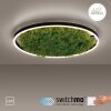 JUST LIGHT GERDA RITUS Ceiling Light LED black, 1-light source