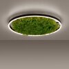 Leuchten-Direkt GREEN RITUS Ceiling Light LED black, 1-light source