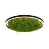 Leuchten-Direkt GREEN RITUS Ceiling Light LED black, 1-light source