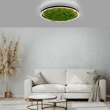 JUST LIGHT GERDA RITUS Ceiling Light LED black, 1-light source