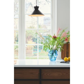Nordlux DIAL Pendant Light black, 1-light source