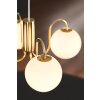 Nordlux FRANCA Pendant Light brass, 4-light sources