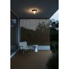 Nordlux JANUKA outdoor ceiling light white, 1-light source