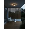 Nordlux JANUKA outdoor ceiling light white, 1-light source