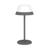 Eglo MEGGIANO Table lamp LED grey, 2-light sources