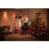 Philips HUE FESTAVIA rope lights LED black, 500-light sources, Colour changer