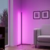 Reality LEVEL Floor Lamp LED black, 1-light source, Remote control, Colour changer
