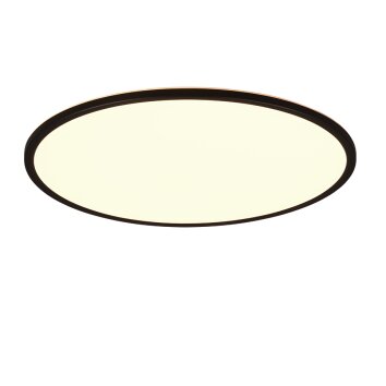 Reality SCOTT Ceiling Light LED black, 1-light source, Remote control