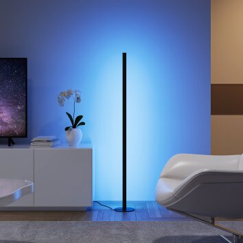 Reality TENDO Floor Lamp LED black, 1-light source, Remote control, Colour changer
