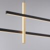 Paul Neuhaus BARRA Pendant Light LED gold, black, 1-light source