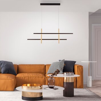 Paul Neuhaus BARRA Pendant Light LED gold, black, 1-light source