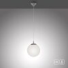 Paul Neuhaus BOLO Pendant Light silver, 1-light source