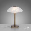 Paul Neuhaus ENOVA Table lamp LED antique brass, 1-light source