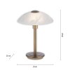 Paul Neuhaus ENOVA Table lamp LED antique brass, 1-light source