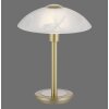 Paul Neuhaus ENOVA Table lamp LED brass, 1-light source