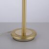 Paul Neuhaus ENOVA Table lamp LED brass, 1-light source