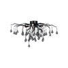 Paul Neuhaus ICICLE Ceiling Light black, 4-light sources