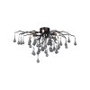 Paul Neuhaus ICICLE Ceiling Light black, 4-light sources