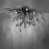 Paul Neuhaus ICICLE Ceiling Light black, 4-light sources