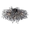 Paul Neuhaus ICICLE Ceiling Light black, 14-light sources