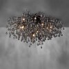 Paul Neuhaus ICICLE Ceiling Light black, 14-light sources
