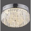 Paul Neuhaus KRISTA Ceiling Light LED chrome, 1-light source