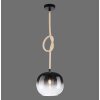 Paul Neuhaus LUMA Pendant Light black, 1-light source