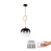 Paul Neuhaus LUMA Pendant Light black, 1-light source
