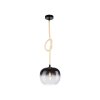 Paul Neuhaus LUMA Pendant Light black, 1-light source