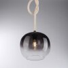 Paul Neuhaus LUMA Pendant Light black, 1-light source