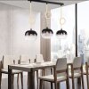 Paul Neuhaus LUMA Pendant Light black, 3-light sources
