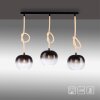 Paul Neuhaus LUMA Pendant Light black, 3-light sources