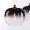 Paul Neuhaus LUMA Pendant Light black, 3-light sources