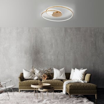 Paul Neuhaus NASTRO Ceiling Light LED gold, 1-light source