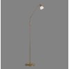 Paul Neuhaus PINO Floor Lamp LED antique brass, 1-light source