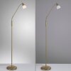 Paul Neuhaus PINO Floor Lamp LED antique brass, 1-light source