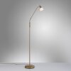 Paul Neuhaus PINO Floor Lamp LED antique brass, 1-light source