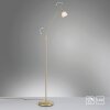 Paul Neuhaus PINO Floor Lamp LED brass, 1-light source