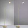 Paul Neuhaus PINO Floor Lamp LED brass, 1-light source
