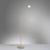 Paul Neuhaus PINO Floor Lamp LED brass, 1-light source