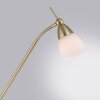 Paul Neuhaus PINO Floor Lamp LED brass, 1-light source