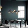 Paul Neuhaus POPSICLE Pendant Light LED black, 10-light sources